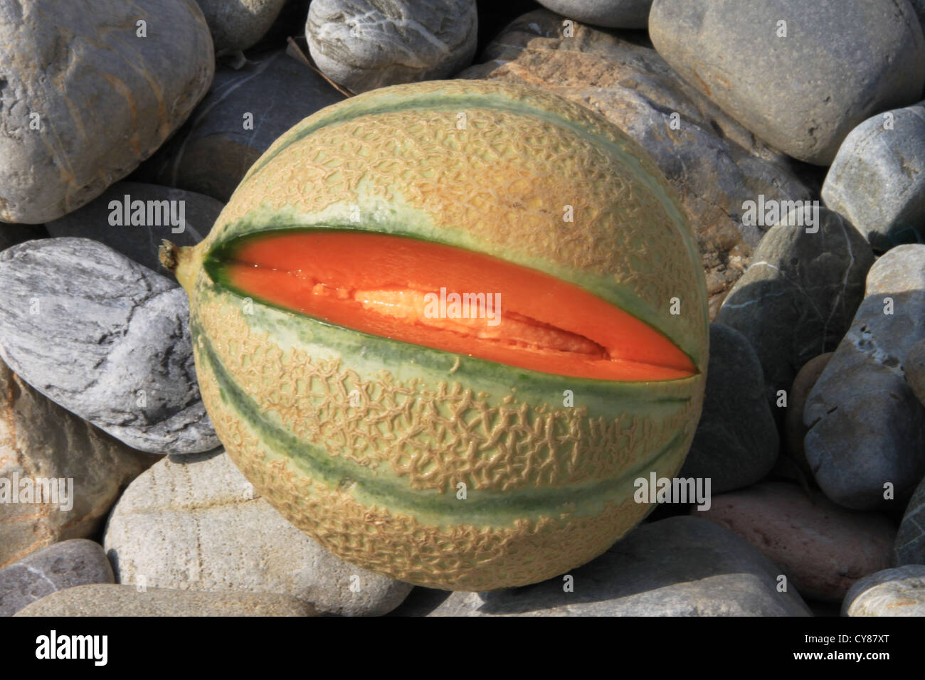 melon Stock Photo