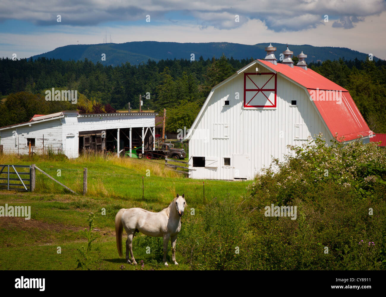 Farm buildings on Orcas Island in Washington state's Juan Islands Stock Photo