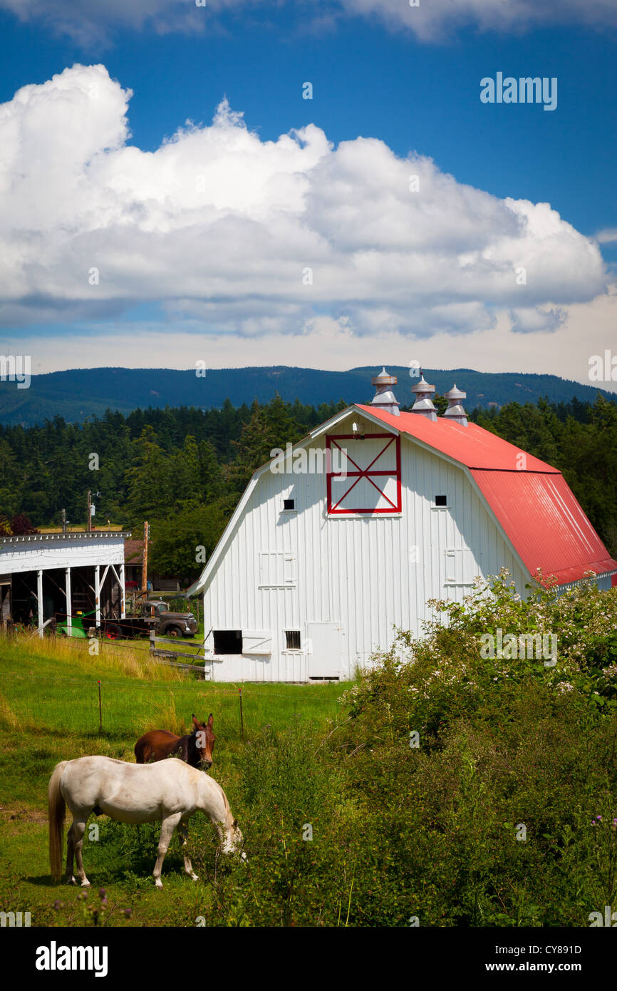 Farm buildings on Orcas Island in Washington state's Juan Islands Stock Photo