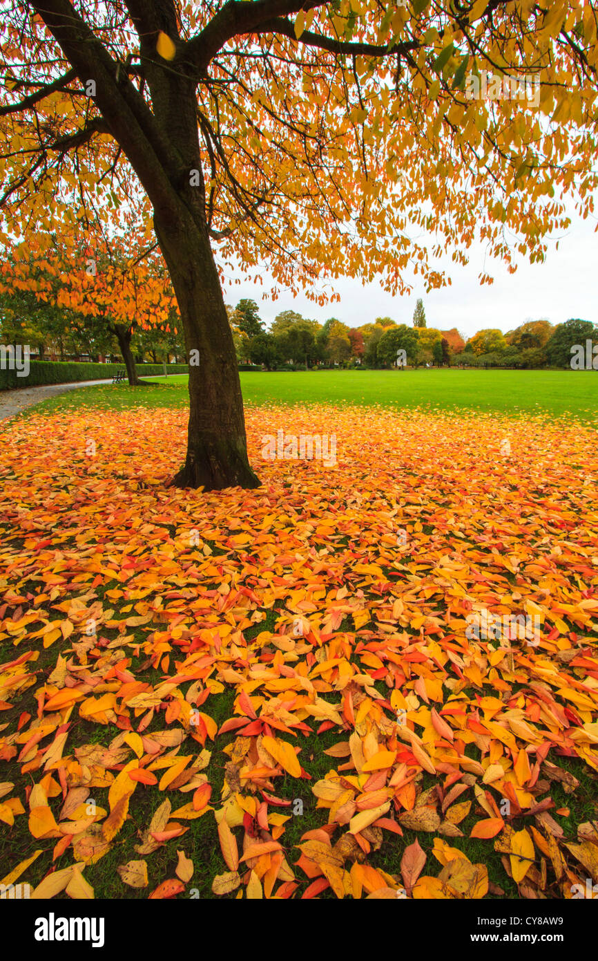 Colourful colours colors hi-res stock photography and images - Alamy