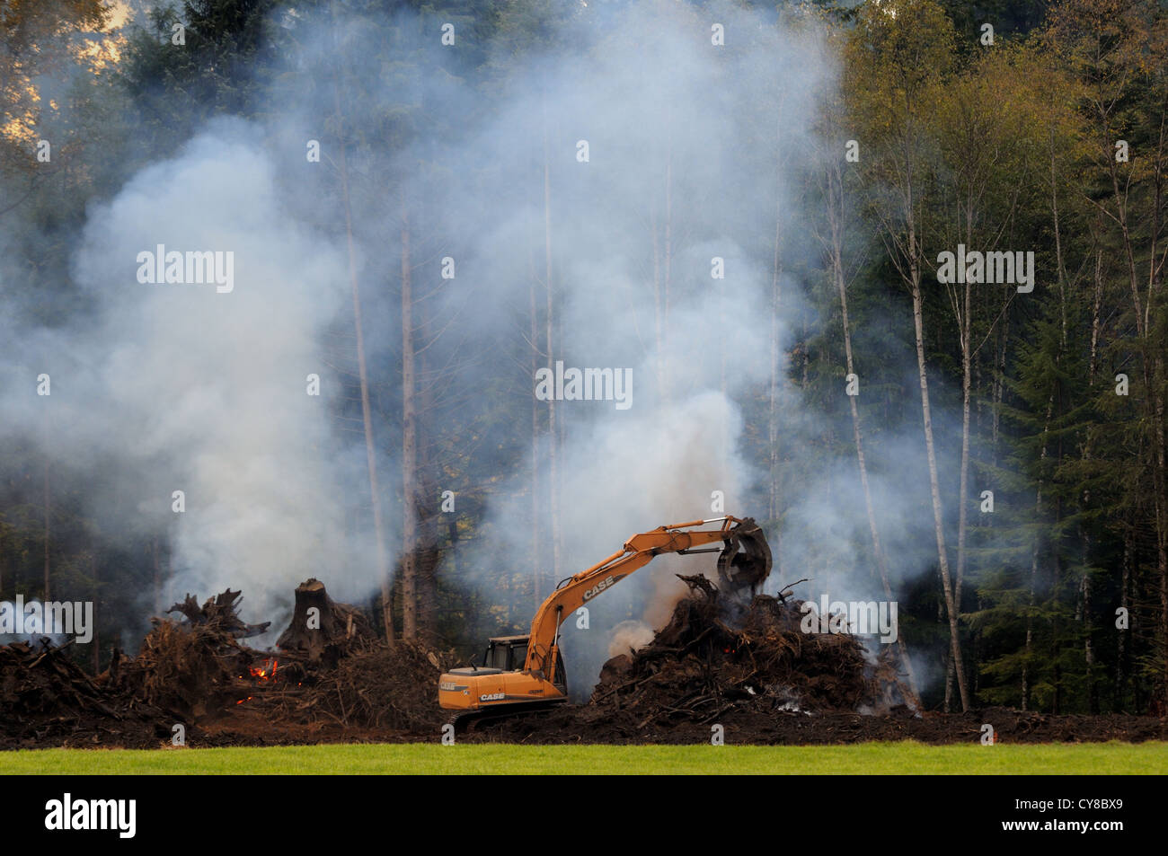 Slash burning, Courtenay, Comox Valley, Vancouver Island, British Columbia, Canada Stock Photo
