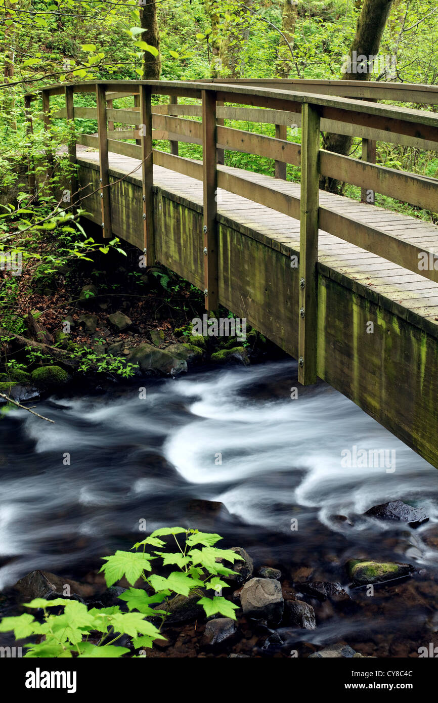 Footbridge over Bridal Veil Creek, Bridal Veil Falls State Park