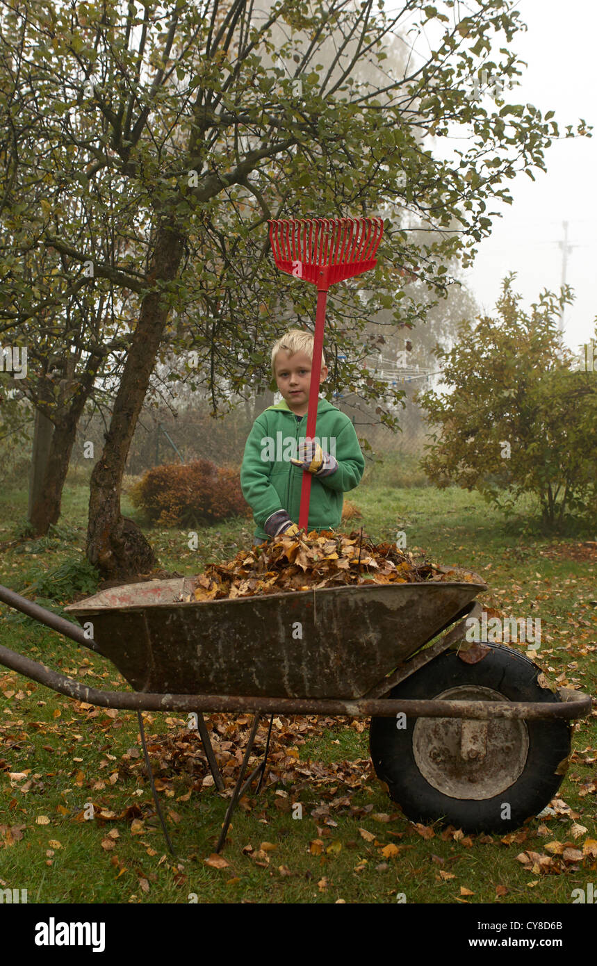 Boys raking leaves hi-res stock photography and images - Alamy