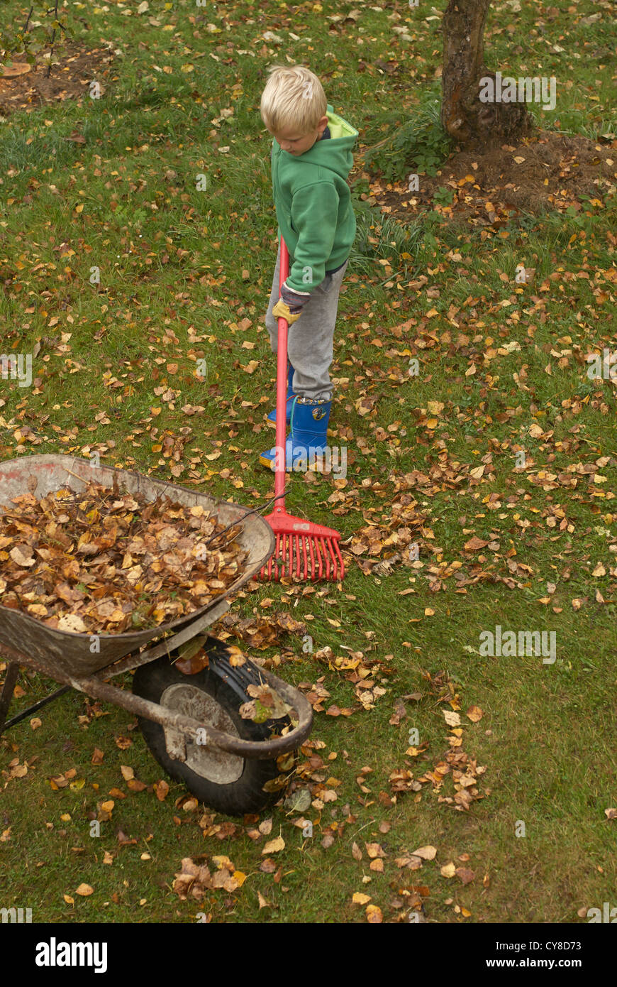 Boys raking leaves hi-res stock photography and images - Alamy