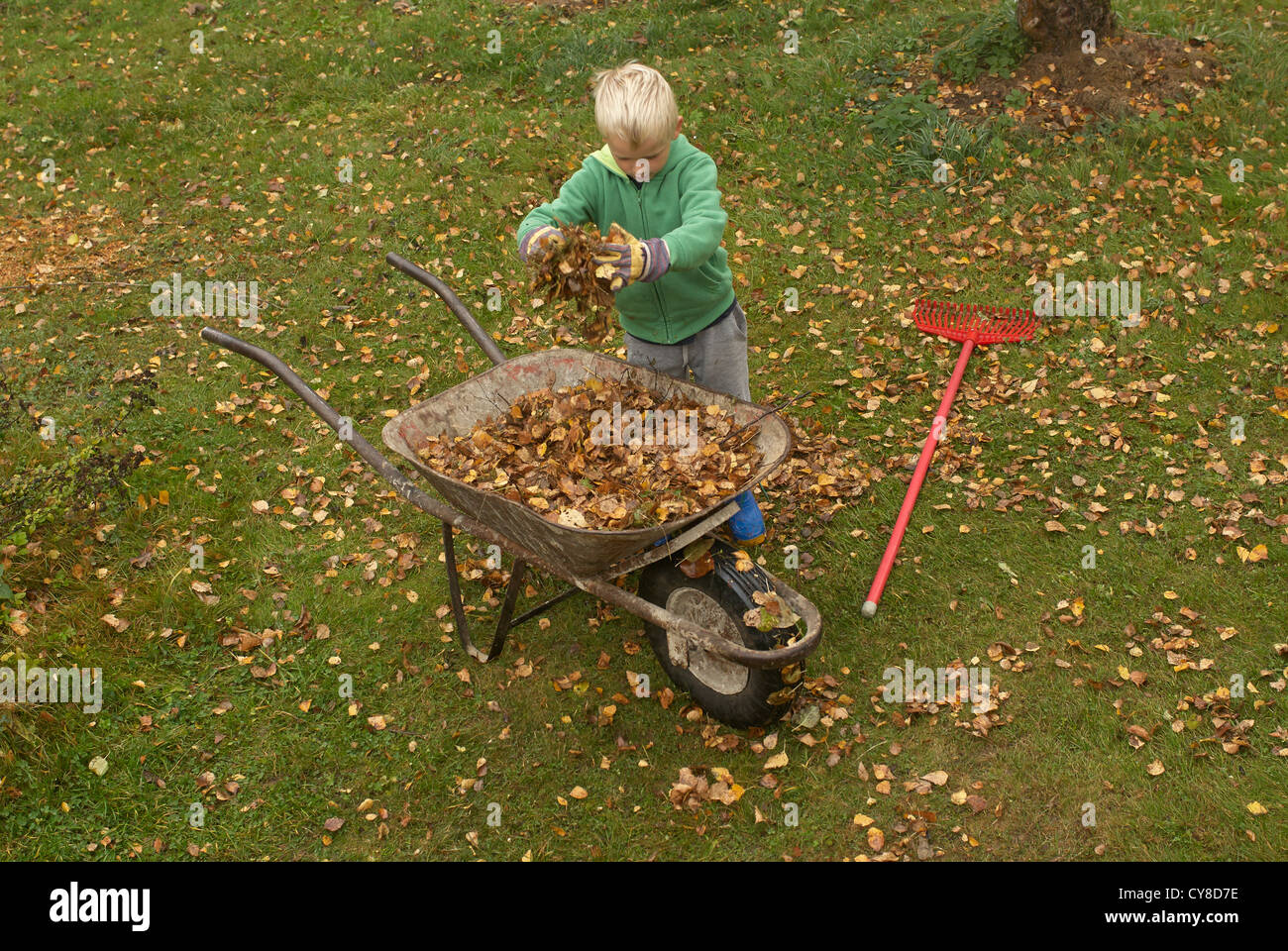 Child wheelbarrow rake hi-res stock photography and images - Alamy