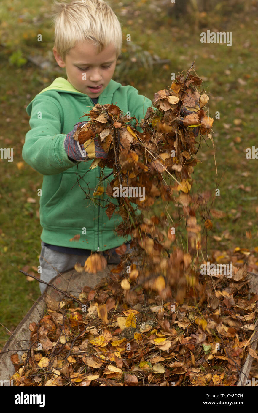 Child blond Boy 6 years old rakes up leaves in autumn garden Stock ...