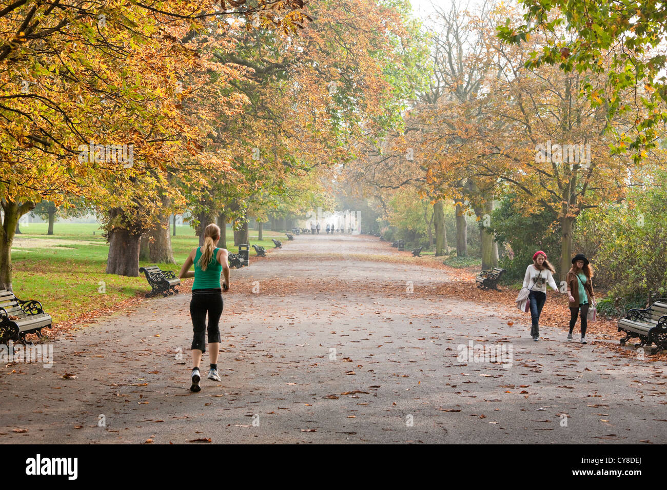 Regent's Park on an autumn afternoon, London, England, UK. Stock Photo