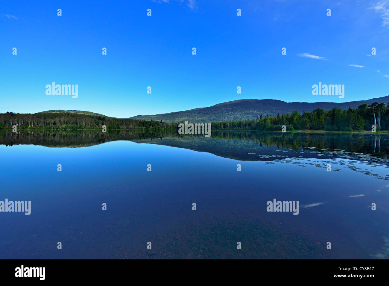 Ross Lake near Hazelton B.C. showing a reflection of the opposite shore