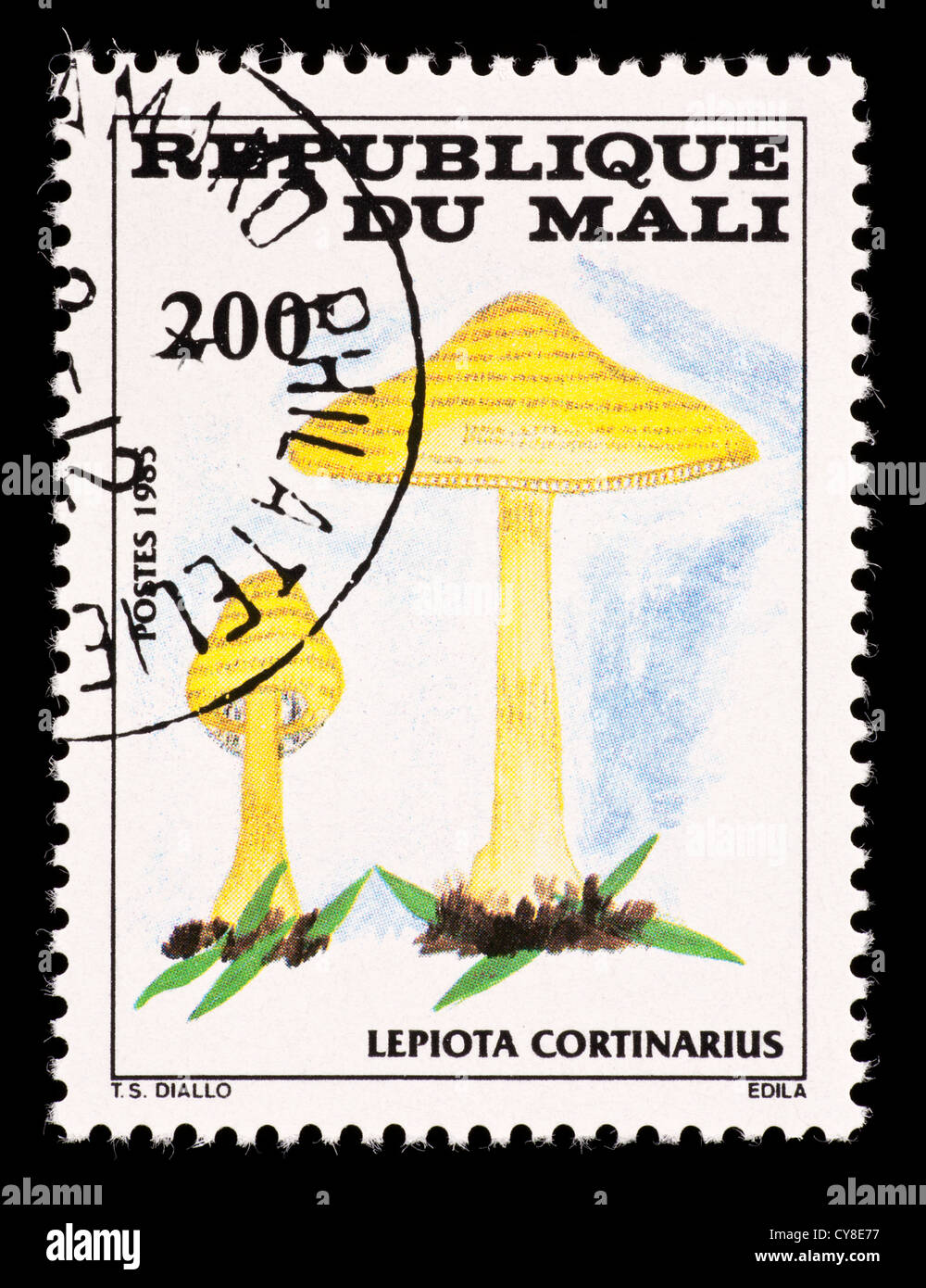 Postage stamp from  Mali depicting mushrooms (Lepiota cortinarius) Stock Photo