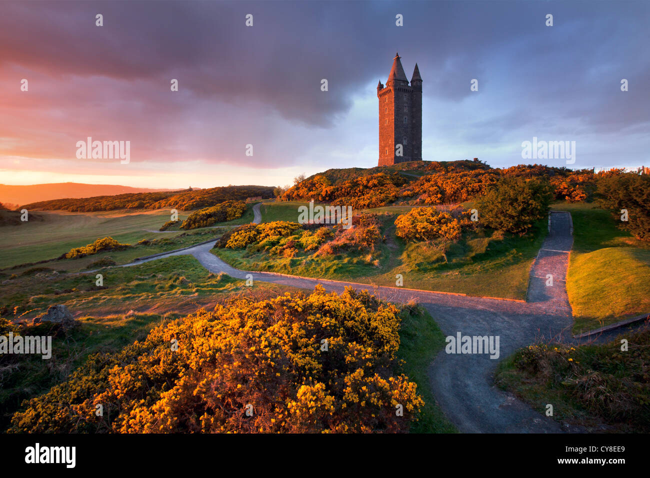Scrabo Tower at dusk, Newtownards - Northern Ireland. Stock Photo