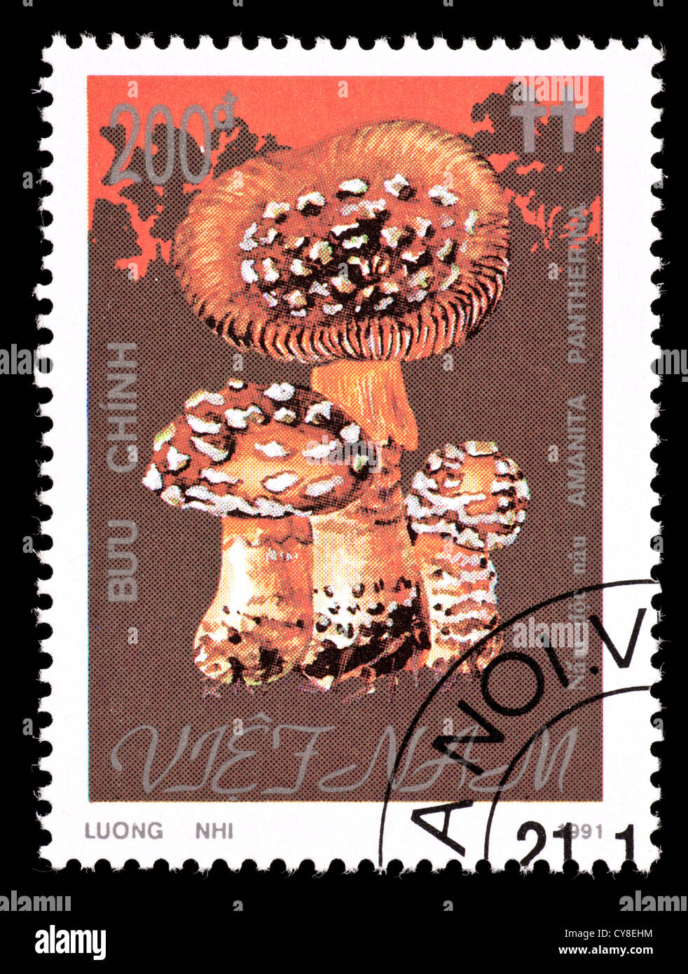 Postage stamp from Vietnam depicting panther mushrooms (Amanita pantherina) Stock Photo