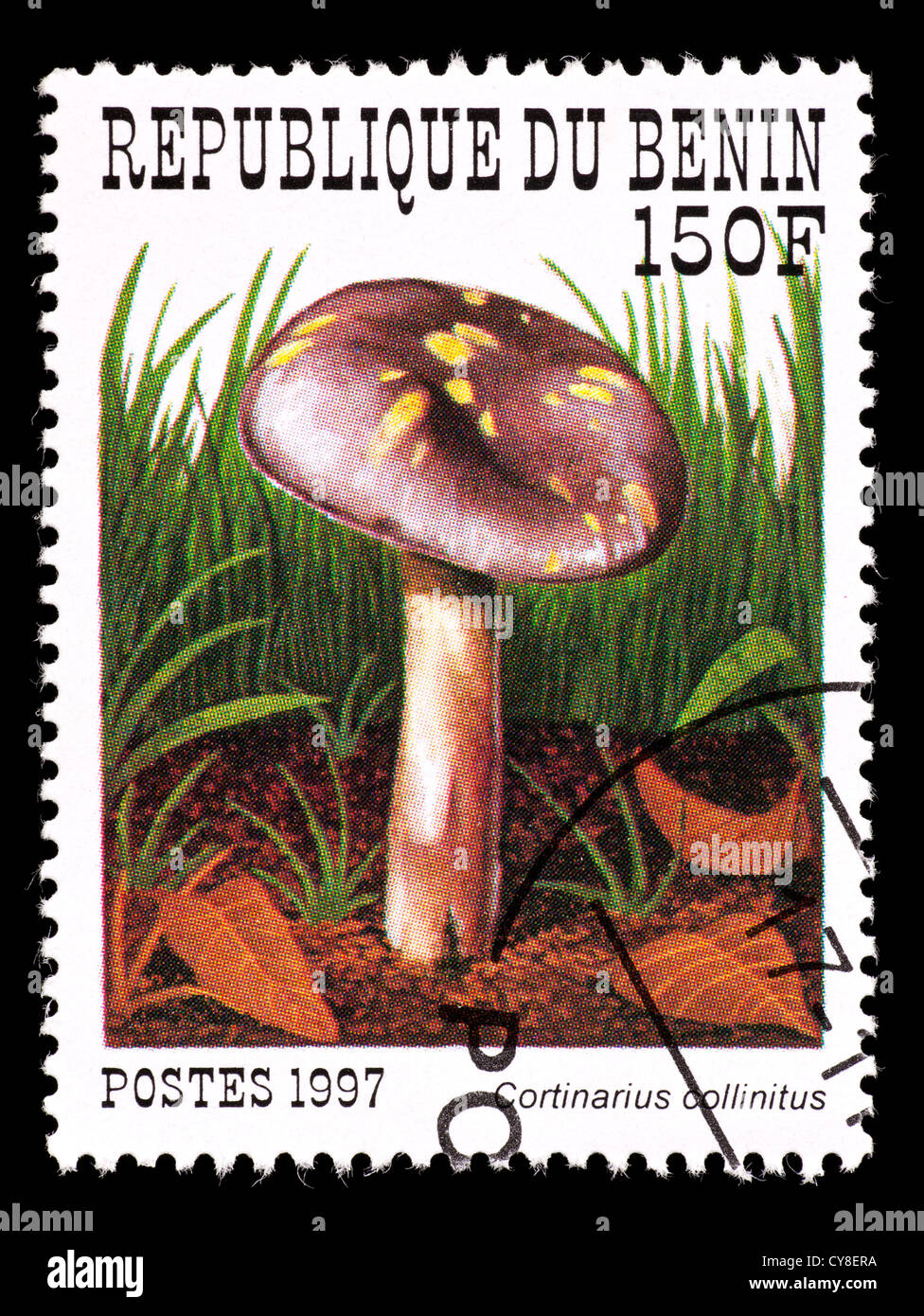 Postage stamp from Benin depicting a Blue-girdled Webcap mushroom (Cortinarius collinitus) Stock Photo