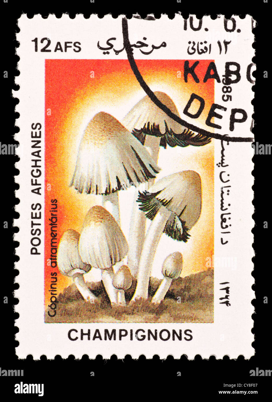 Postage stamp from Afghanistan depicting ink cap mushrooms (Coprinus atramentarius) Stock Photo