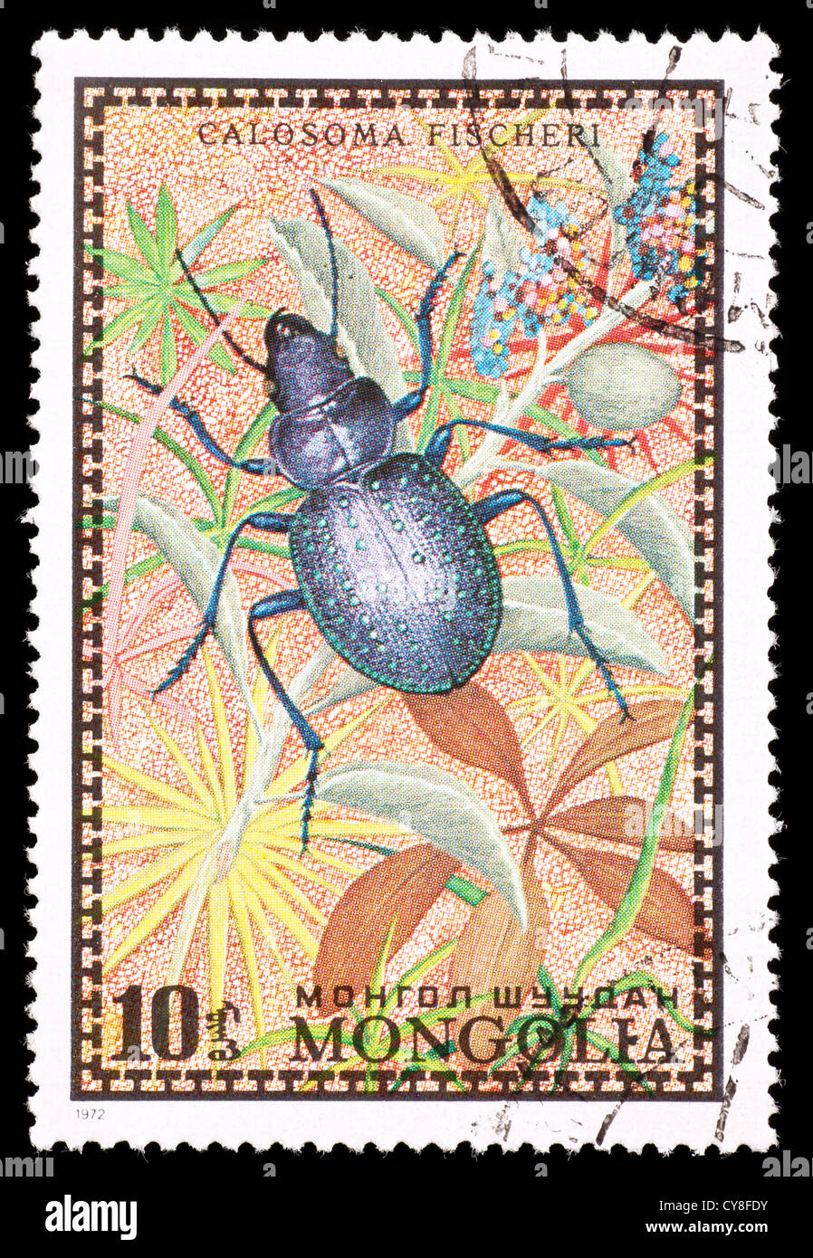 Postage stamp from Mongolia depicting a ground beetle (Calosoma ...