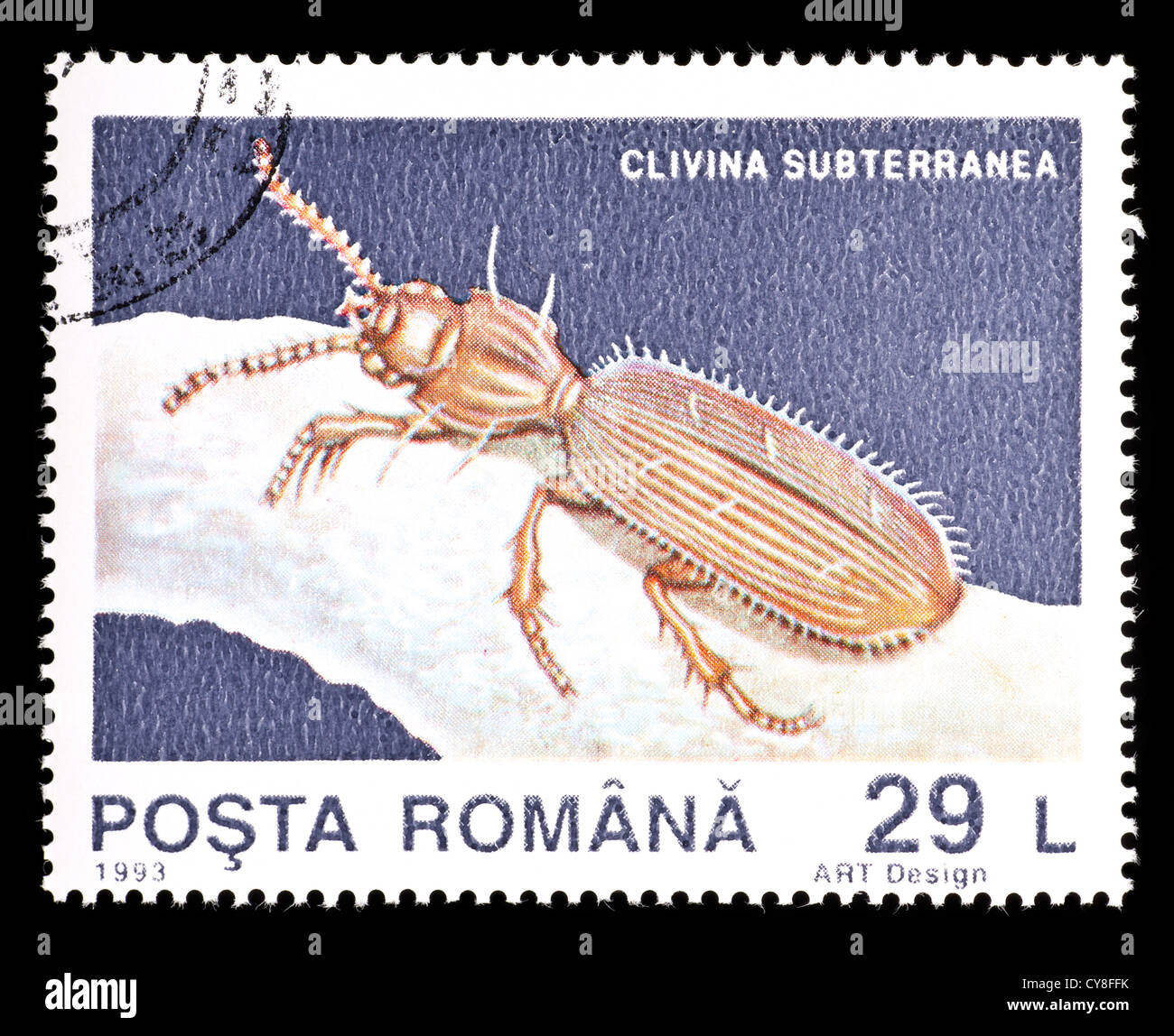 Postage stamp from Romania depicting a ground beetle (Clivina subterranea) Stock Photo