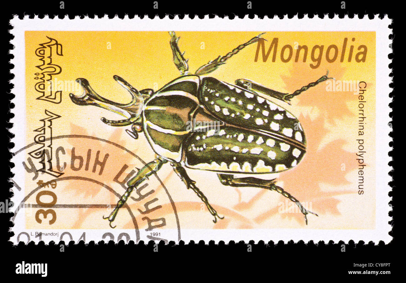 Postage stamp from Mongolia depicting a beetle (Chelorrhina polyphemus ...