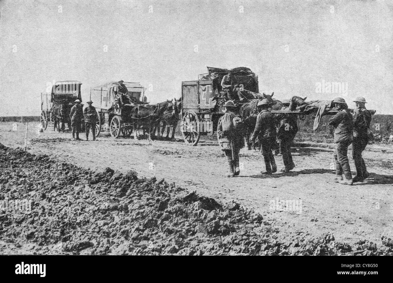 Horse drawn ambulances in World War I Stock Photo