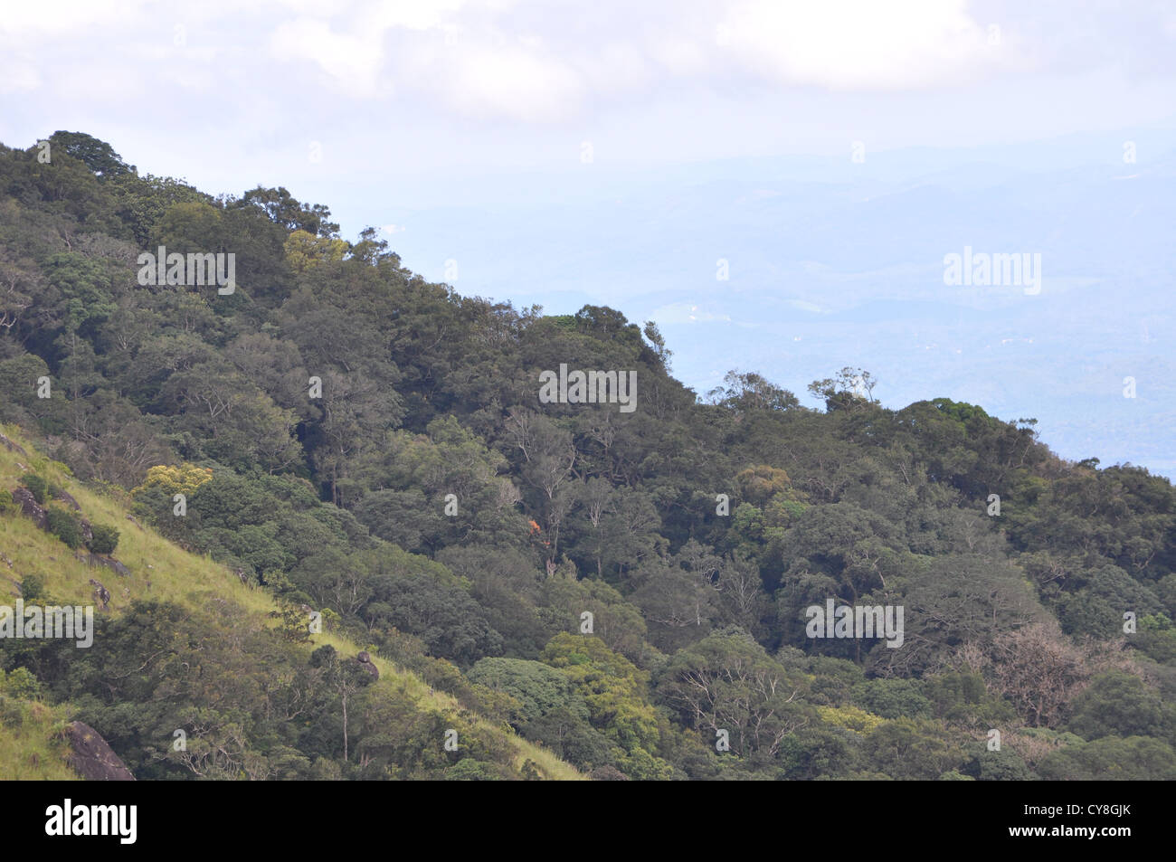 Ponmudi Hills Stock Photo