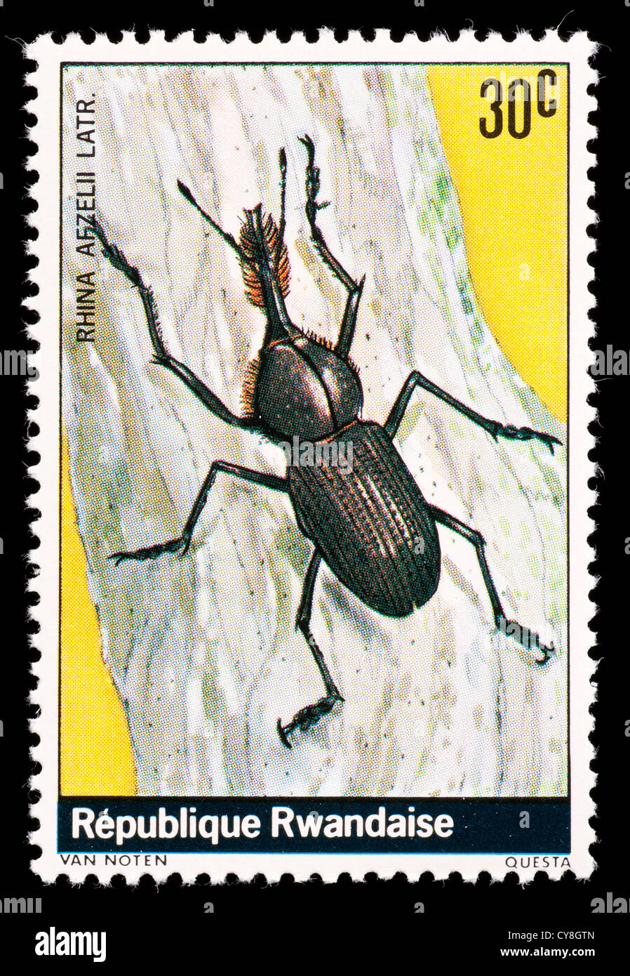 Postage stamp from Rwanda depicting a weevil  (Rhina afzelii) Stock Photo