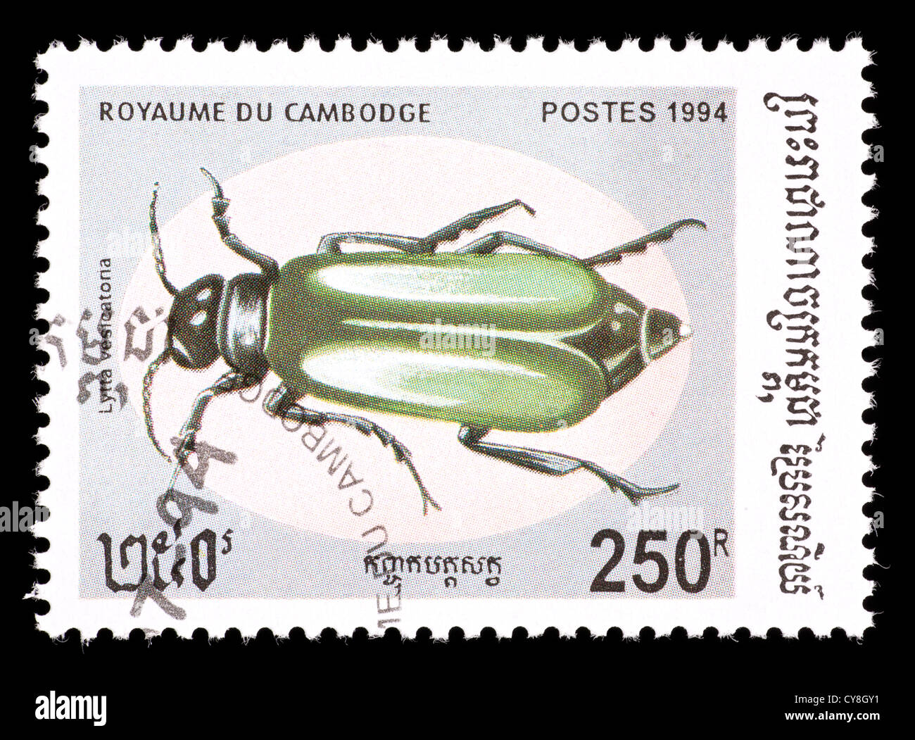 Postage stamp from Cambodia depicting a blister beetle (Lytta vesicatoria) Stock Photo