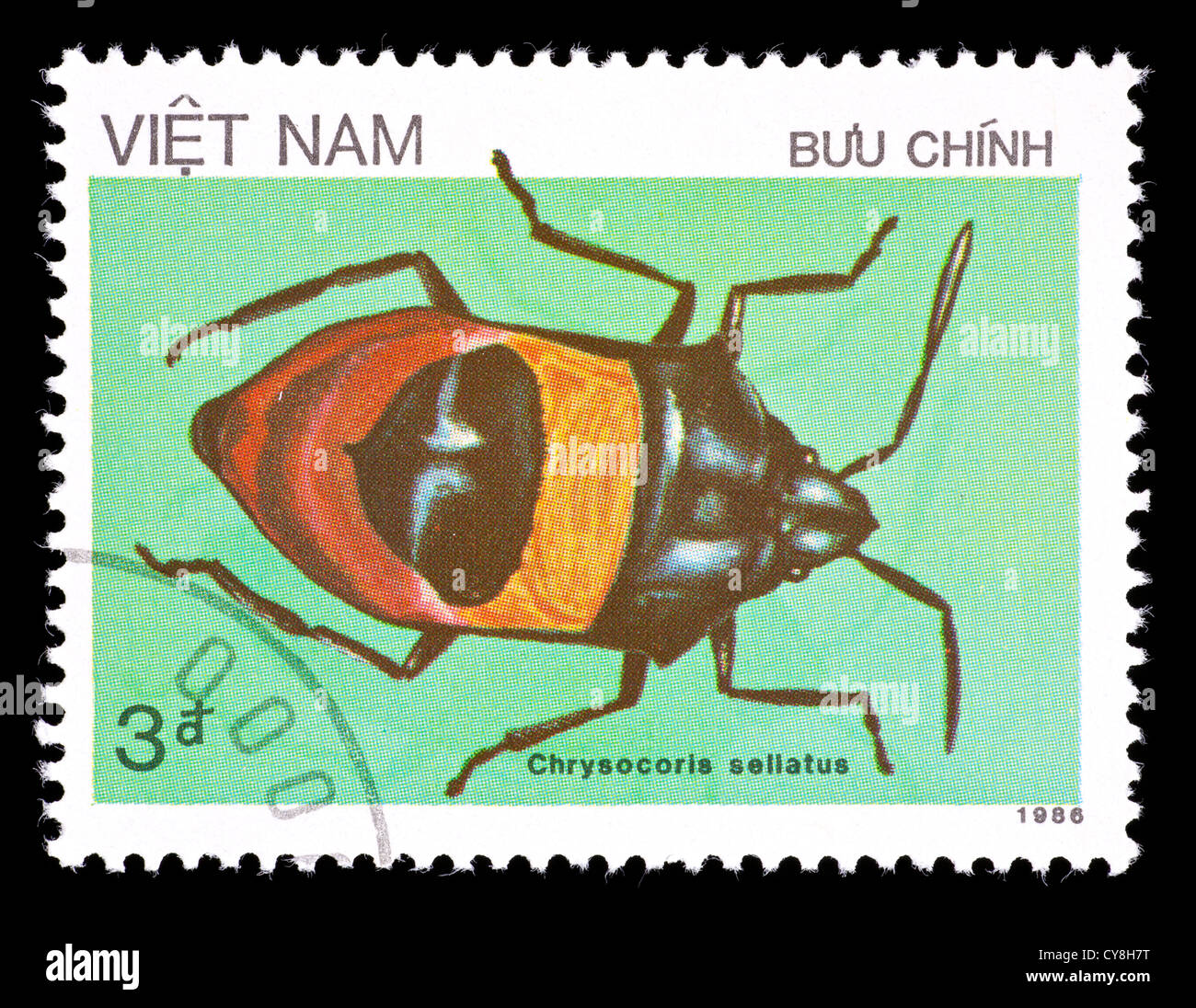 Postage stamp from Vietnam depicting a tropical Shield Bug  (Chrysocoris sellatus) Stock Photo