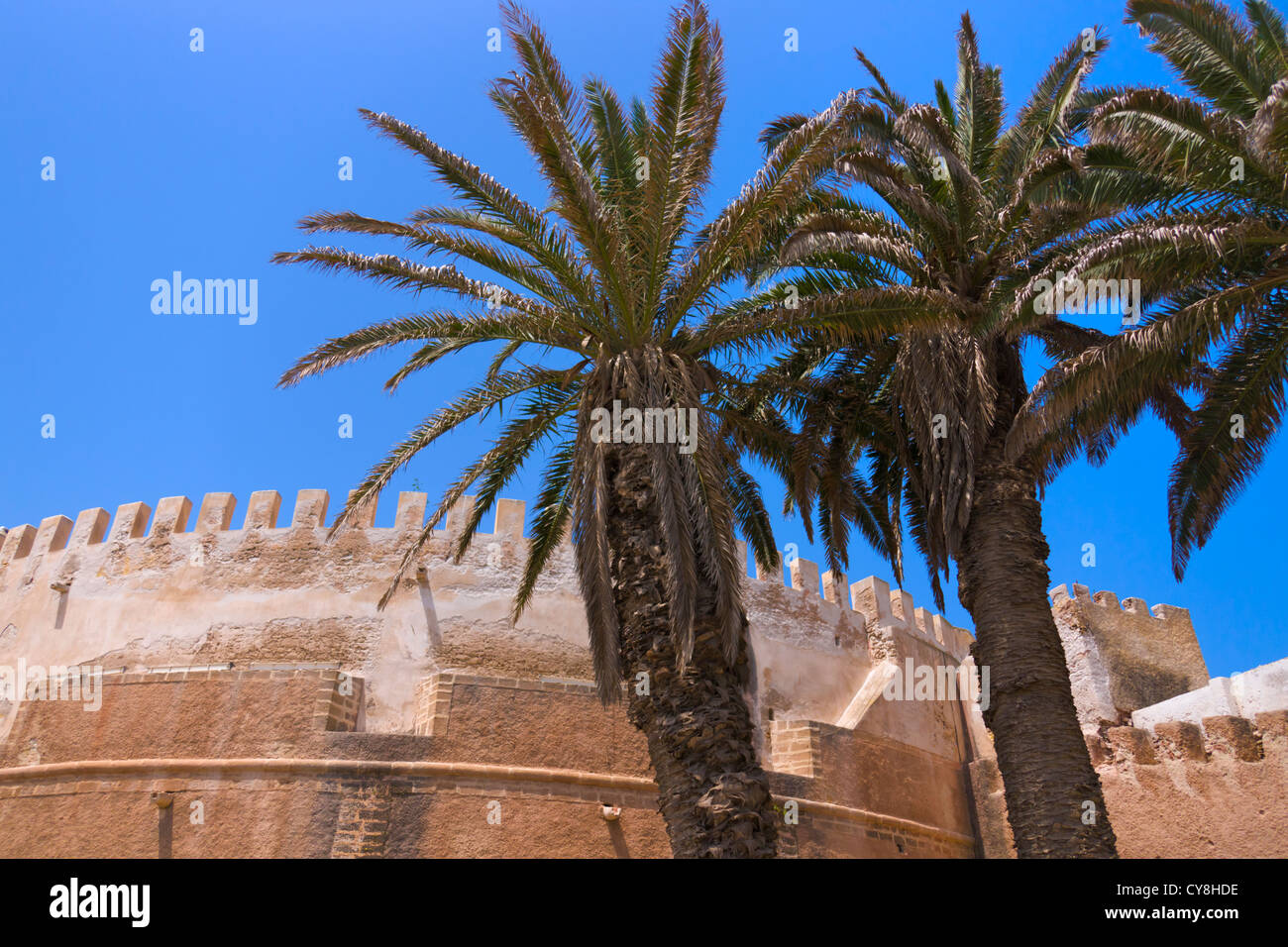 Medina walls and palm trees hi-res stock photography and images - Alamy