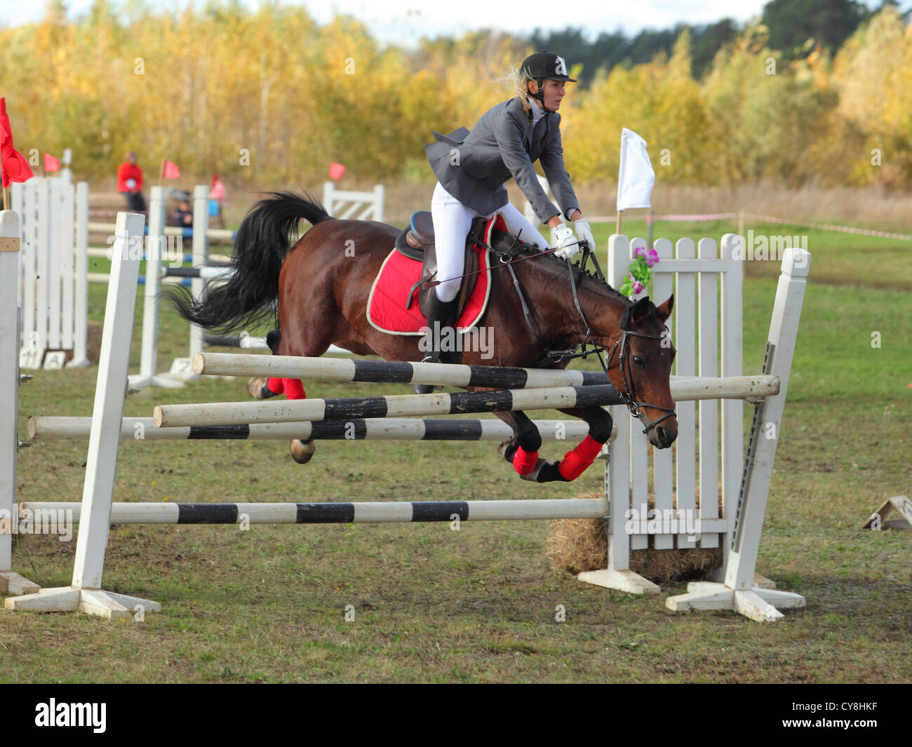 Brown horse refuse to jump and dismount his rider over the obstacle