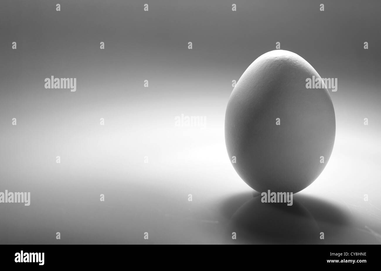 Simple as... White egg over desk with reflection and shadow Stock Photo