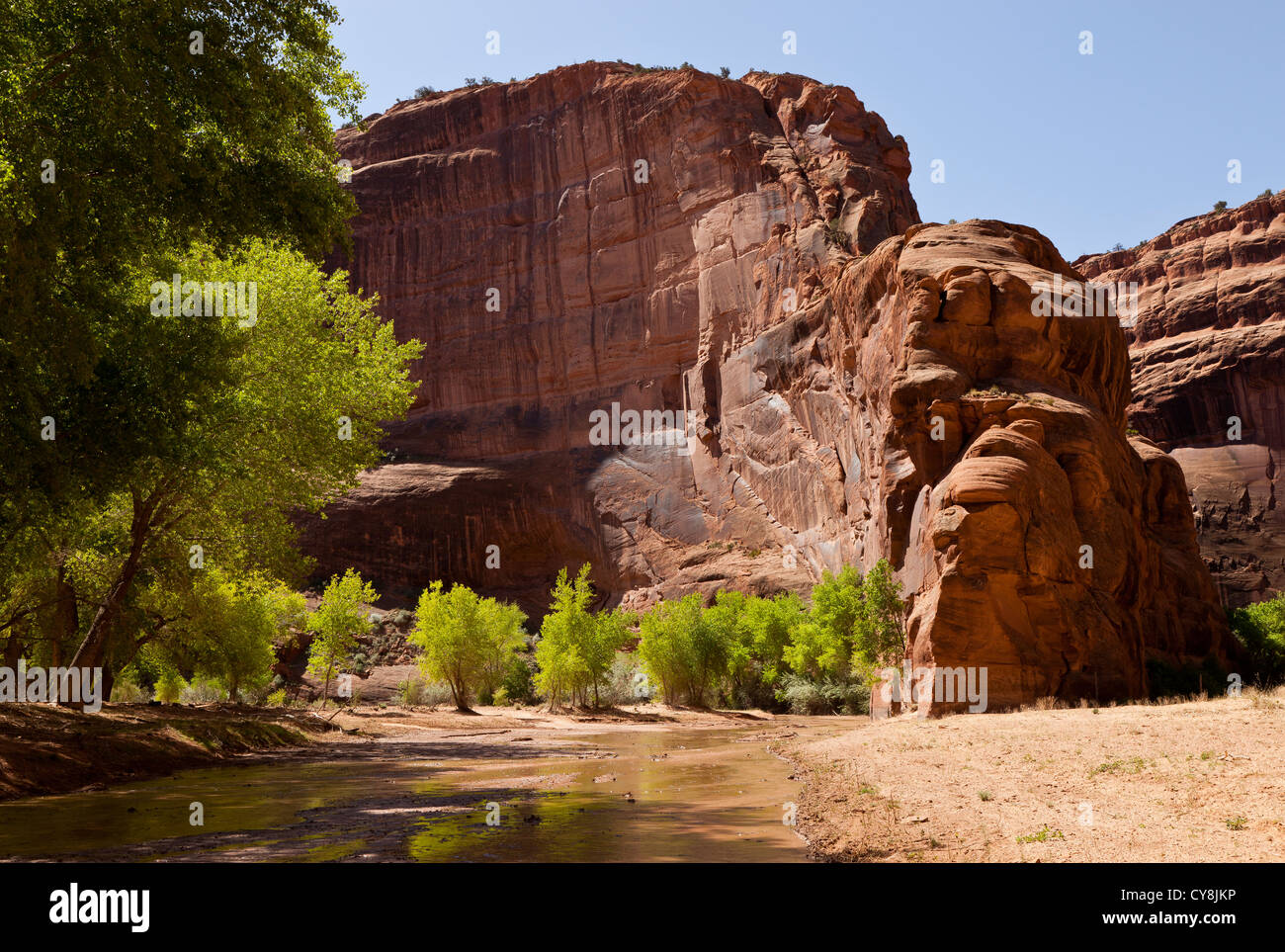 View from the canyon floor in Canyon de Chelly, Arizona, USA Stock Photo