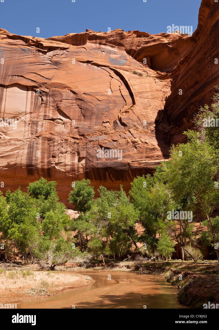 View from the canyon floor in Canyon de Chelly, Arizona, USA Stock Photo