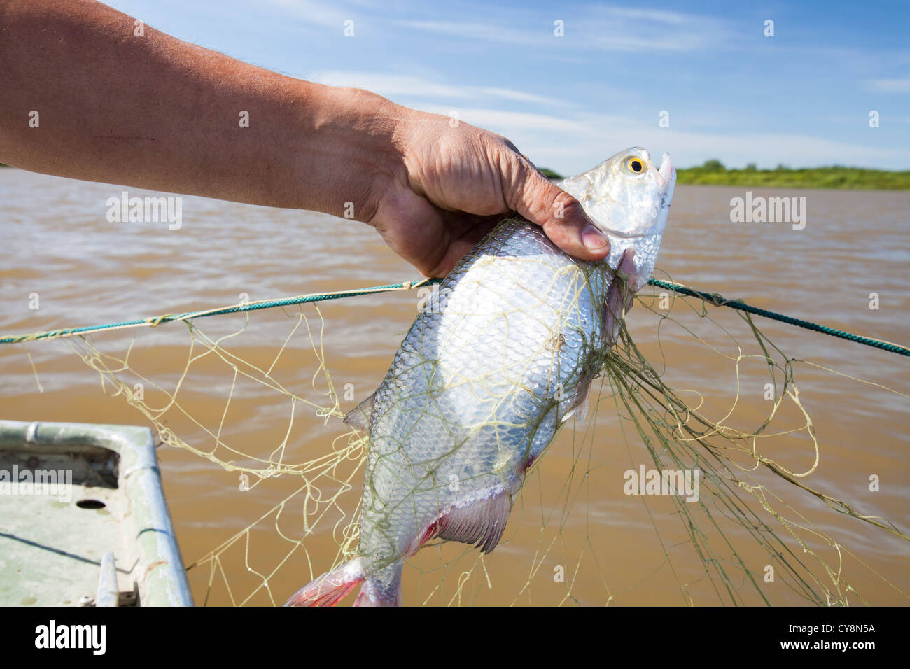 Caught first fish hi-res stock photography and images - Alamy