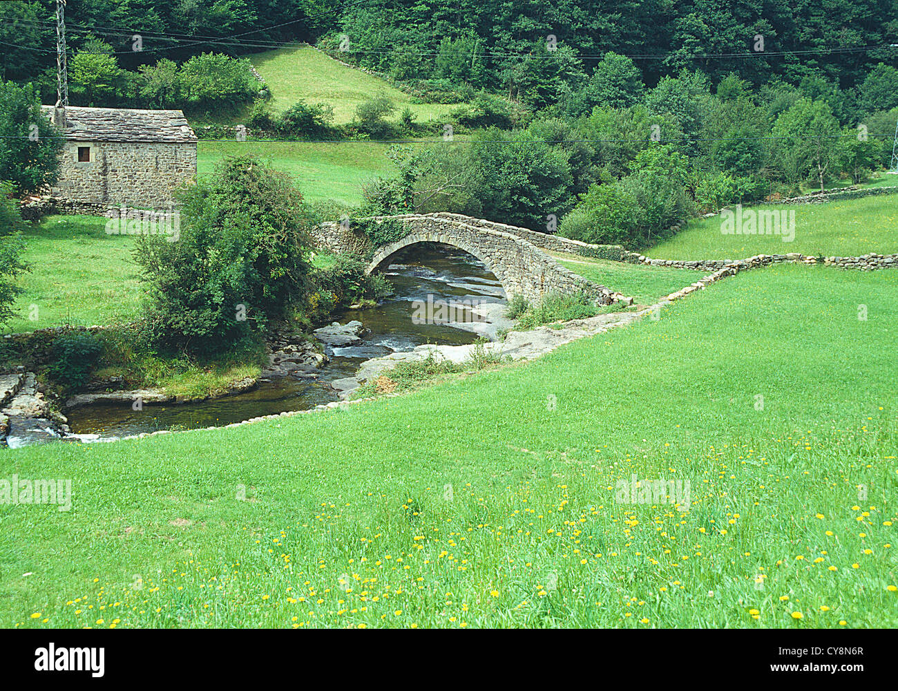 River Pas and medieval bridge. Vega de Pas, Cantabria, Spain. Stock Photo