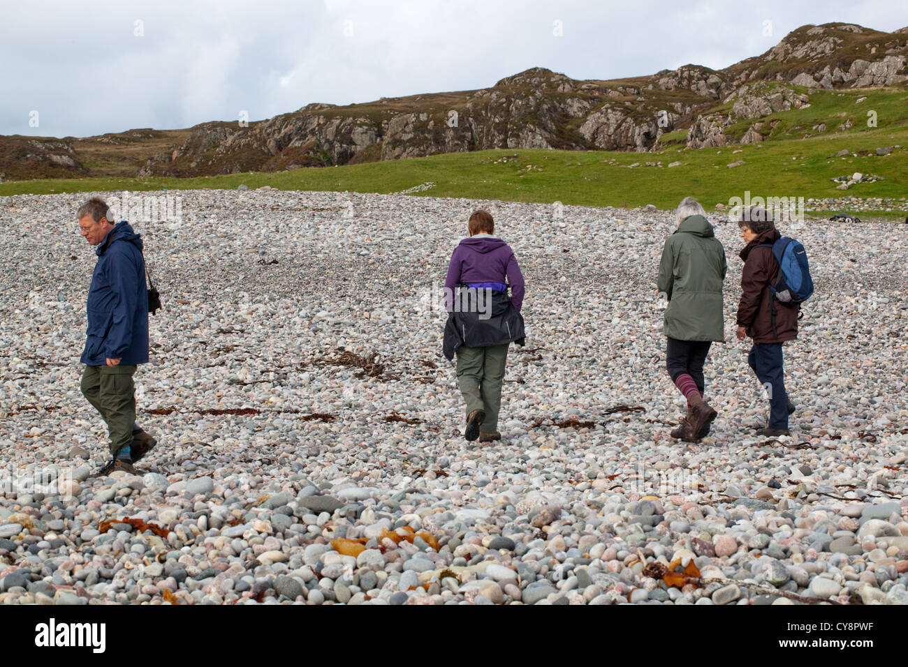 VISITORS to IONA looking for interesting variety of pebbles along the tide line. Stock Photo