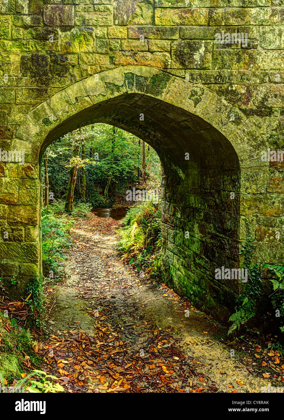 Rustic archway in forest. Stock Photo