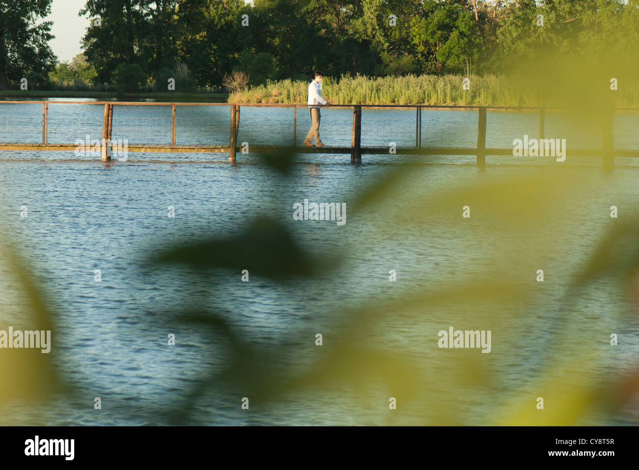 Man walking on footbridge over river in distance, seen through leaves in blurred foreground Stock Photo