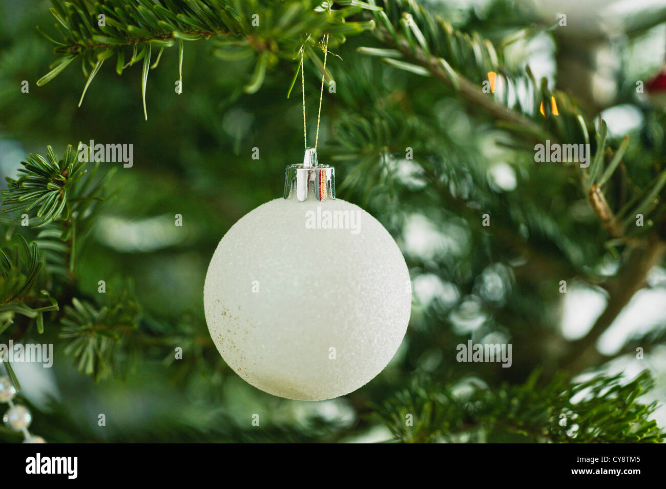 Christmas ornament on tree Stock Photo
