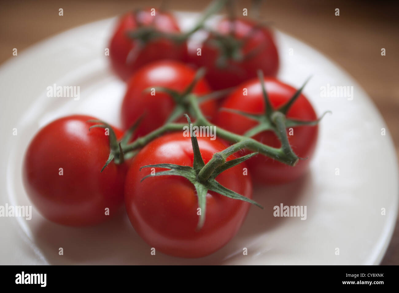 Group of Tomatoes on a white plate. Tomatoes are still connected to the vine stems. Stock Photo