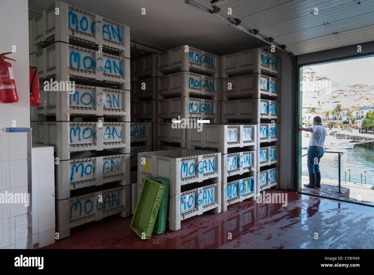 Fish storage boxes piled up in the fish market at Puerto de Mogan Gran