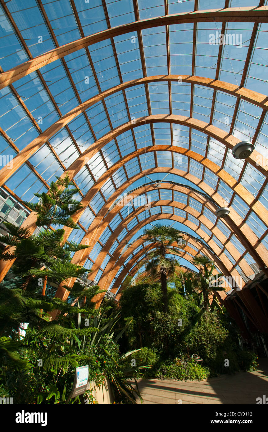 Image Result For Sheffield Winter Gardens