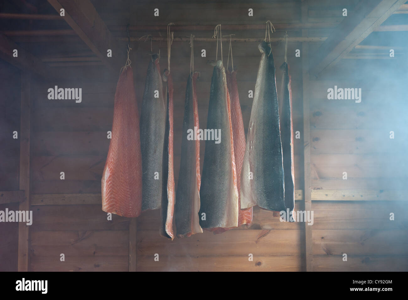 Salmon being smoked in a smoking shed Stock Photo