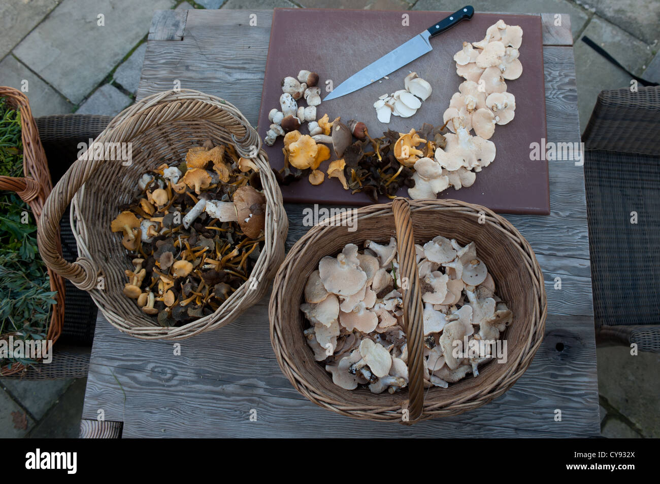 Foraged mushrooms and other wild forest produce Stock Photo