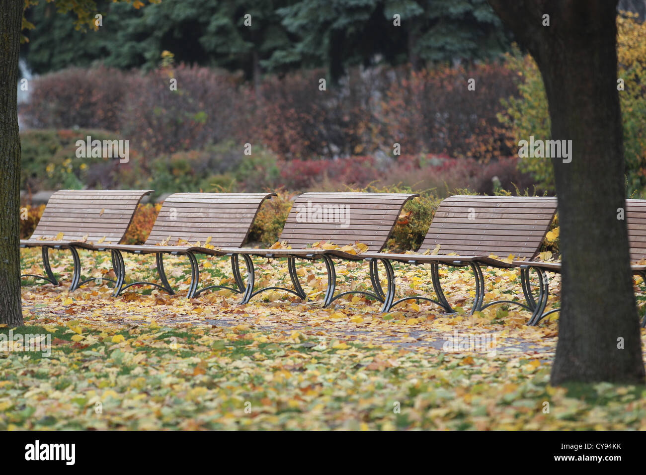 Row of park benches in a park Stock Photo