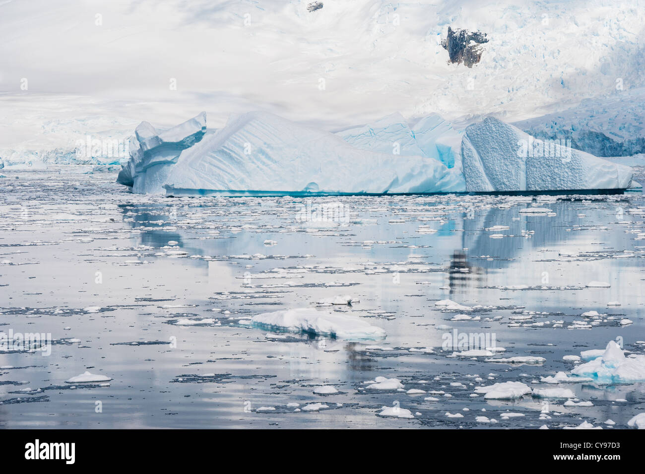Antarctic waters hi-res stock photography and images - Alamy