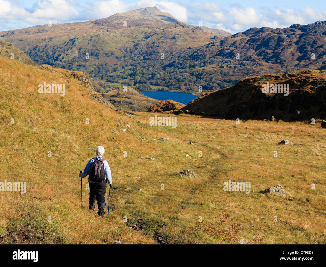 Senior walker looking at view to Moel Siabod across Nant Gwynant valley from Hafod Y Llan footpath in Snowdonia North Wales UK Stock Photo