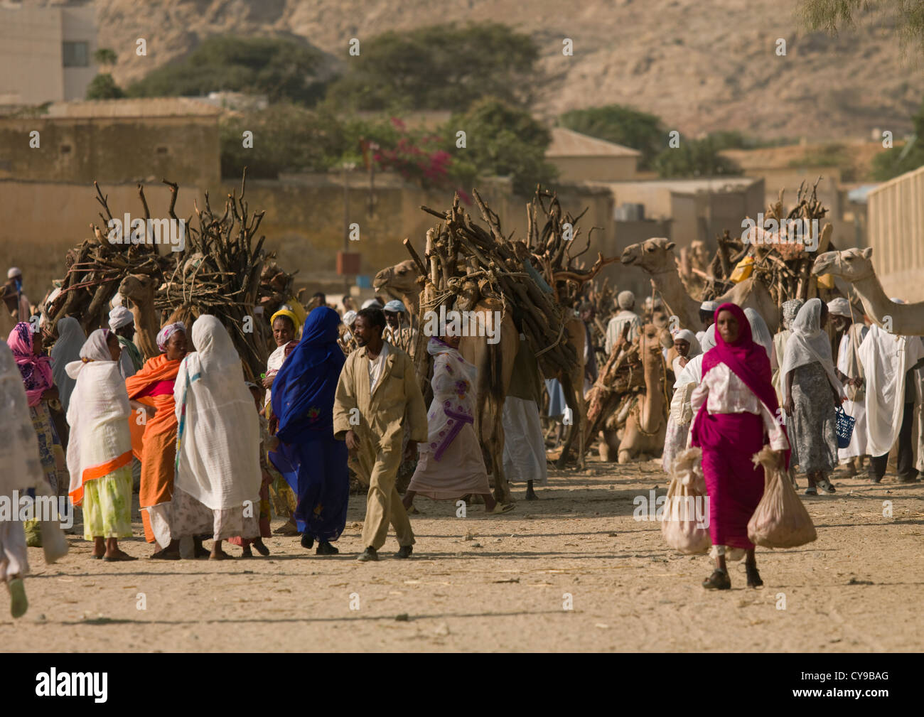 Monday Camel Market In Keren, Eritrea Stock Photo