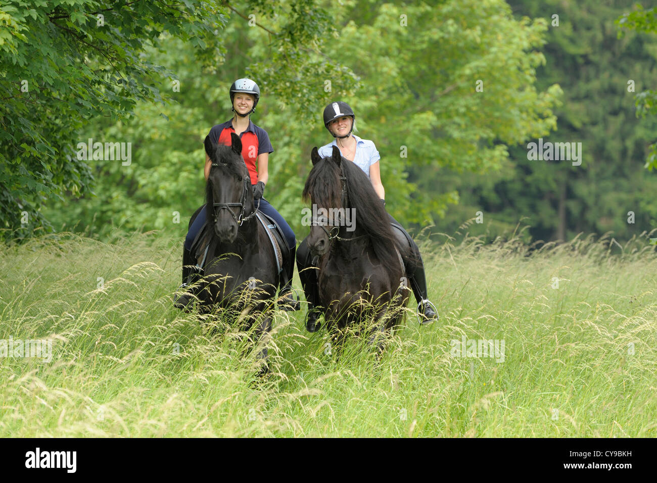 Friesian horse riding hi-res stock photography and images - Alamy
