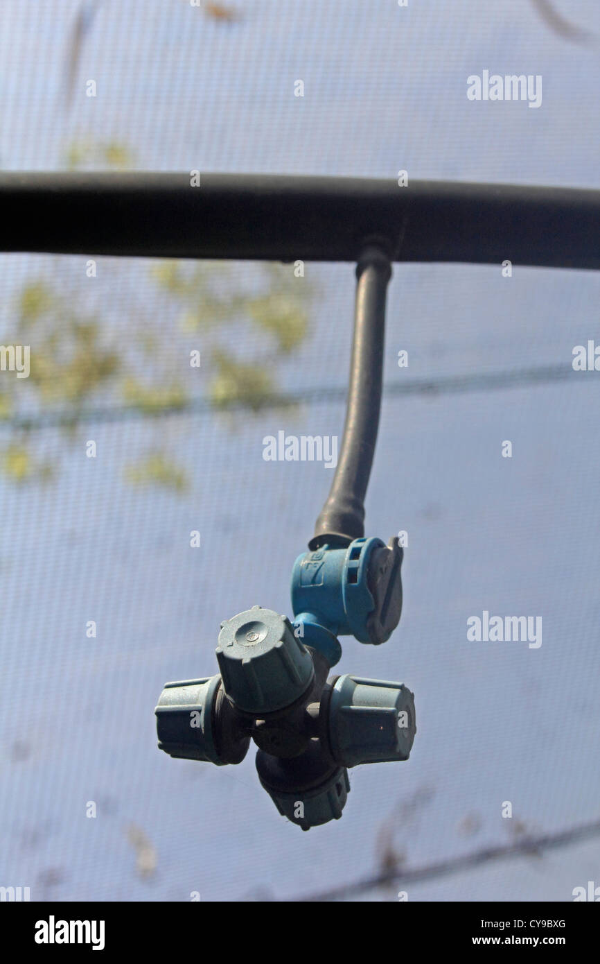 Microjet Sprinkler For Water Irrigation, India Stock Photo Alamy