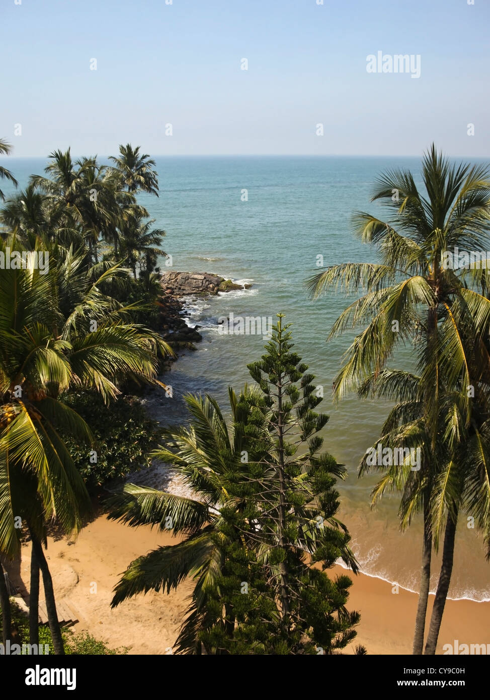 A tropical beach in Sri Lanka with palm trees under a blue sky Stock ...