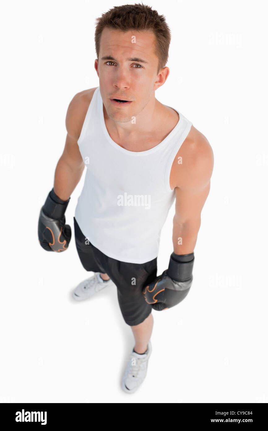 High angle view of standing boxer Stock Photo