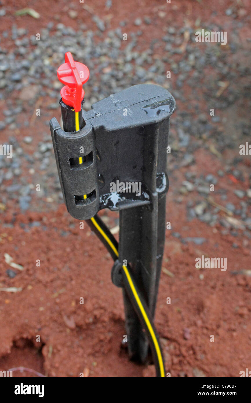 Microjet Sprinkler For Water Irrigation, India Stock Photo Alamy